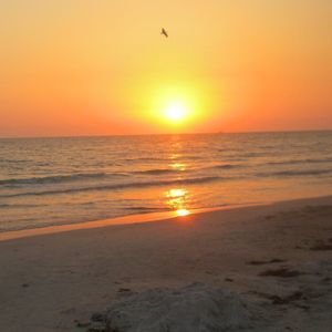 Meet your Posher, Sandy